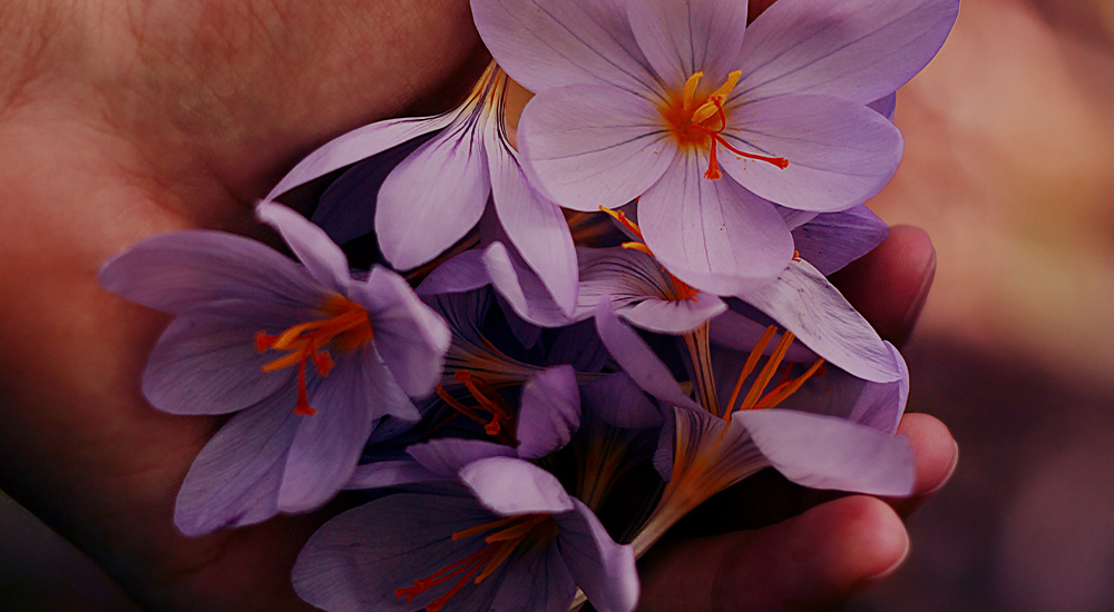 Psihologija sklada usluge mobile