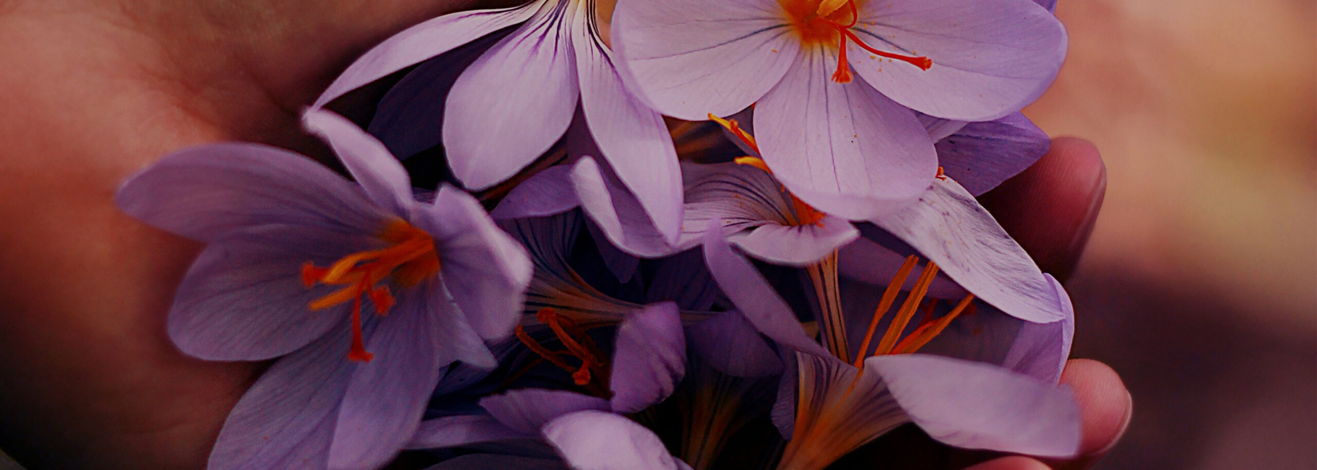 Psihologija sklada usluge